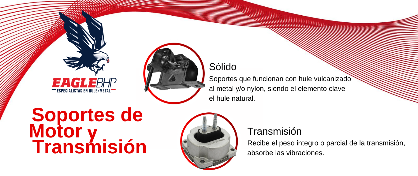 Bases y Soportes Eagle